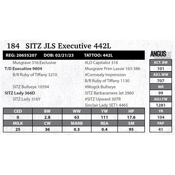 Sitz JLS Executive 442L