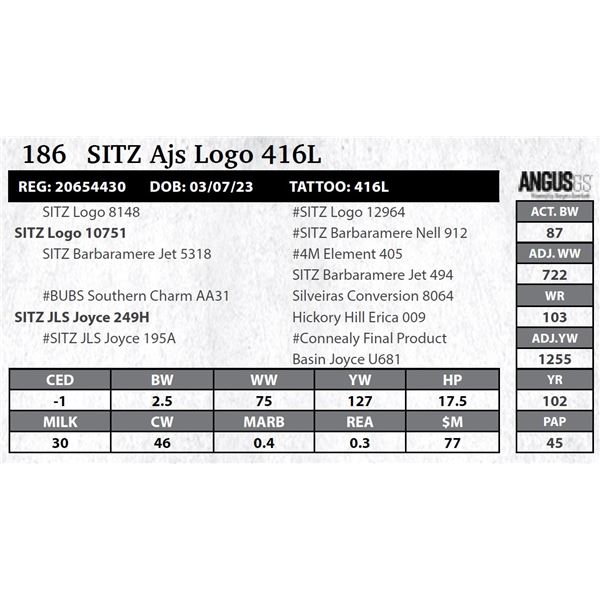 Sitz Ajs Logo 416L