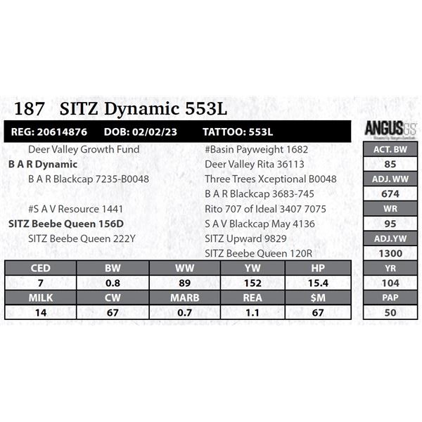 SITZ Dynamic 553L