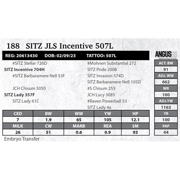 SITZ JLS Incentive 507L