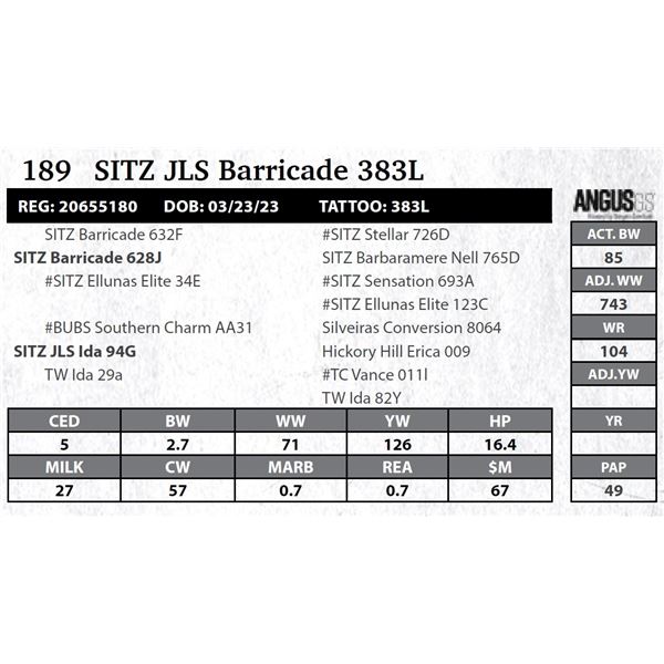 Sitz JLS Barricade 383L