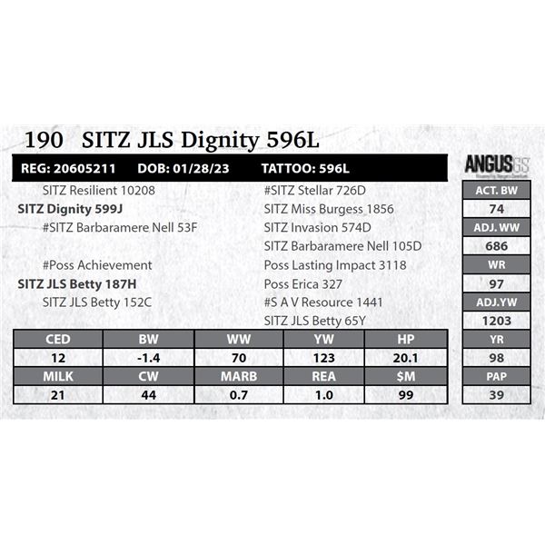 SITZ JLS Dignity 596L