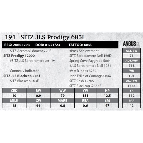 SITZ JLS Prodigy 685L