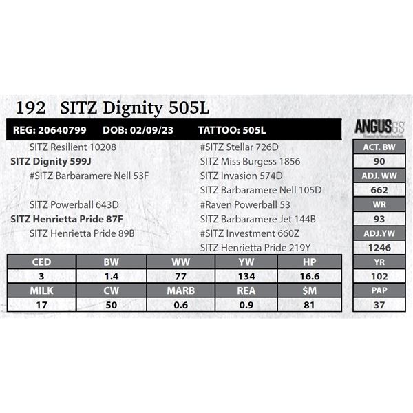 Sitz Dignity 505L