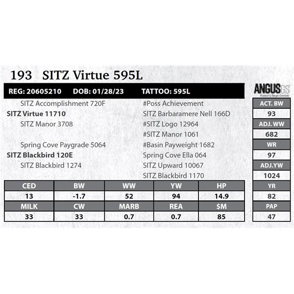 SITZ Virtue 595L