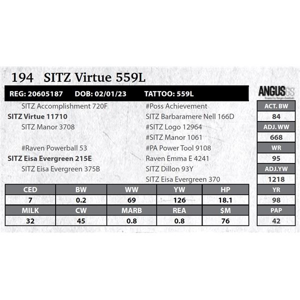 SITZ Virtue 559L