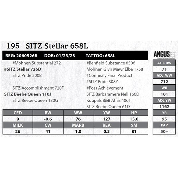 SITZ Stellar 658L