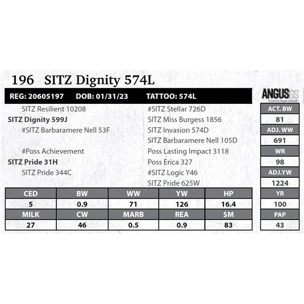 SITZ Dignity 574L