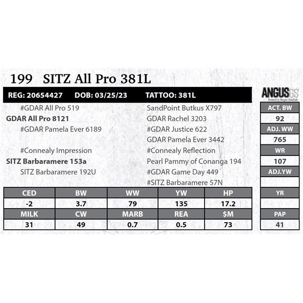 Sitz All Pro 381L