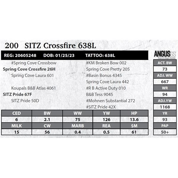 SITZ Crossfire 638L