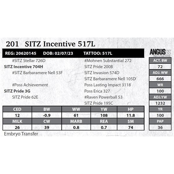 SITZ Incentive 517L