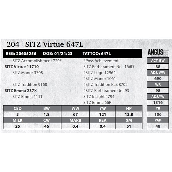 SITZ Virtue 647L