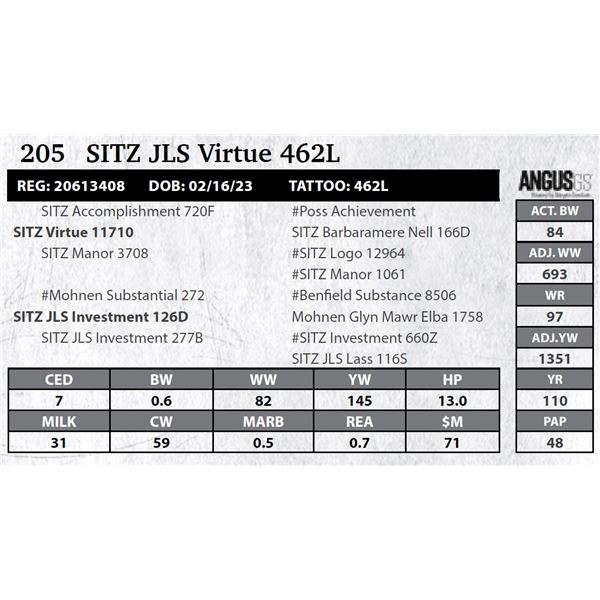 SITZ JLS Virtue 462L