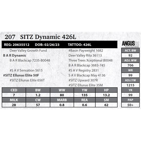 Sitz Dynamic 426L