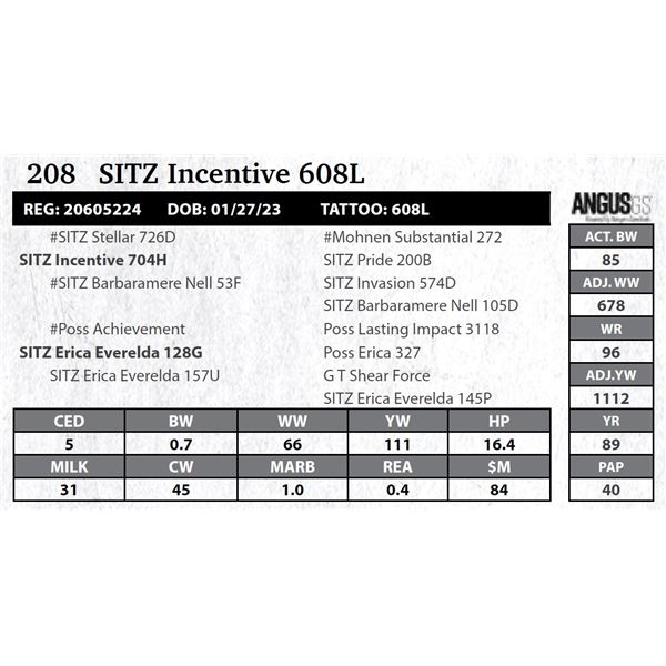 SITZ Incentive 608L