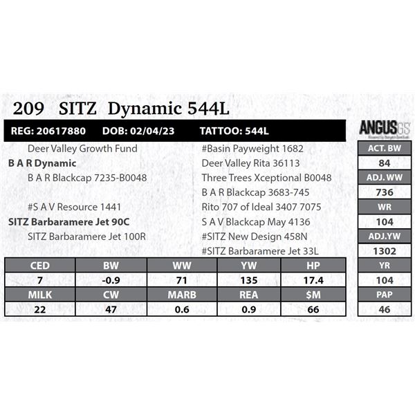 SITZ Dynamic 544L