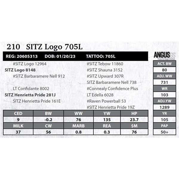 SITZ Logo 705L