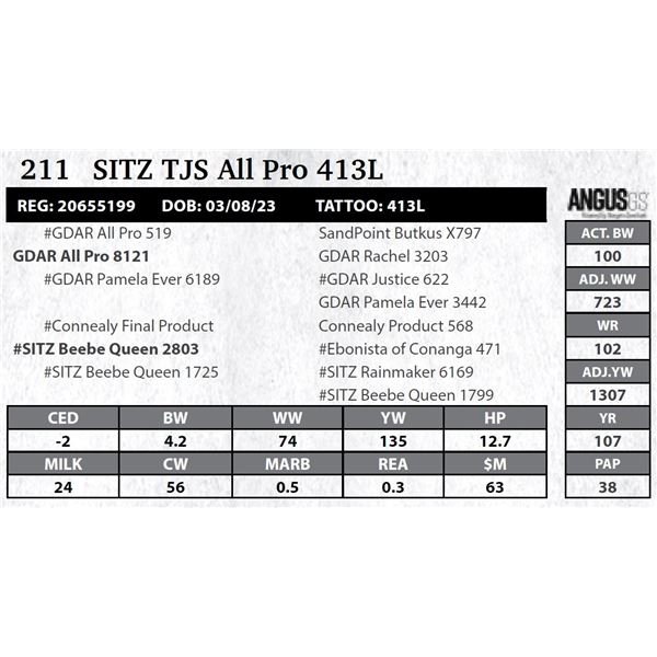 Sitz TJS All Pro 413L