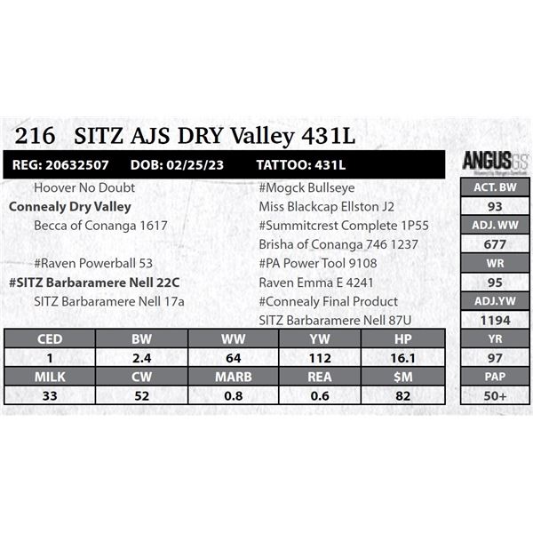 Sitz Ajs DRY Valley 431L