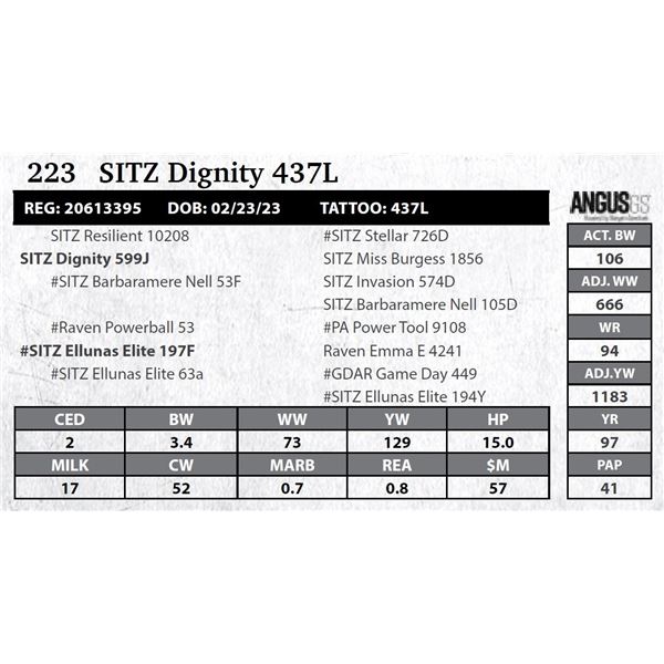 SITZ Dignity 437L