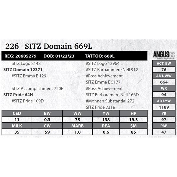 SITZ Domain 669L