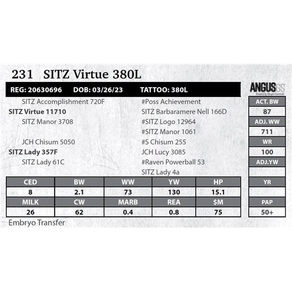 SITZ Virtue 380L