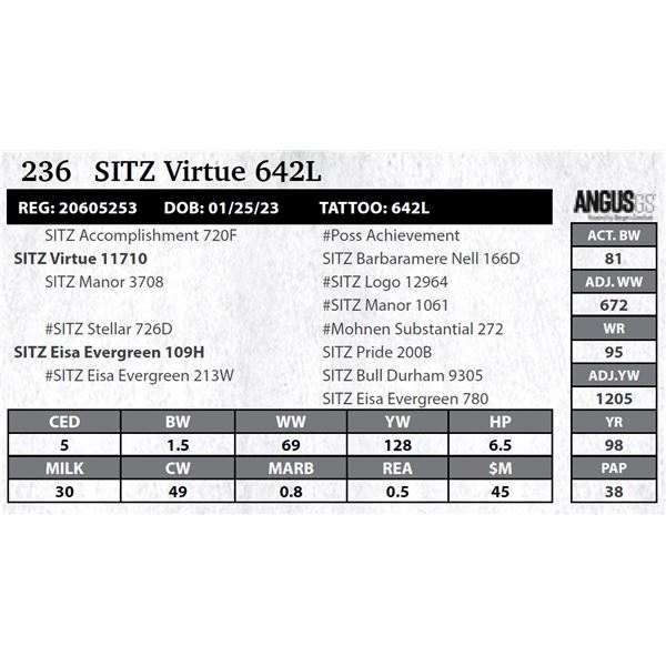 SITZ Virtue 642L