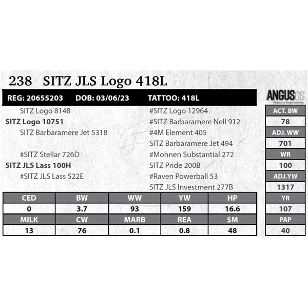 Sitz JLS Logo 418L