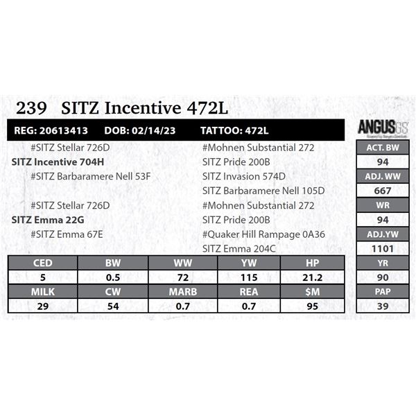 SITZ Incentive 472L