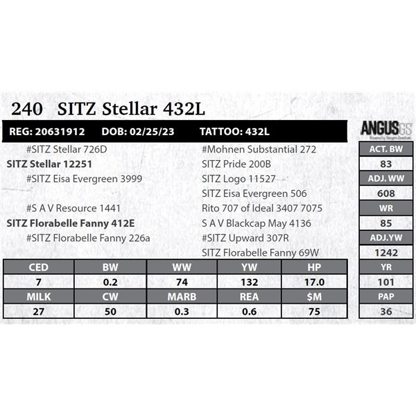 Sitz Stellar 432L