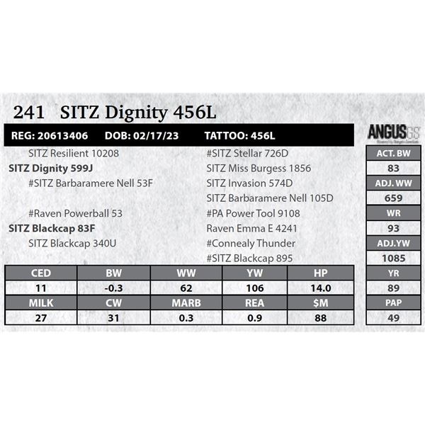 SITZ Dignity 456L