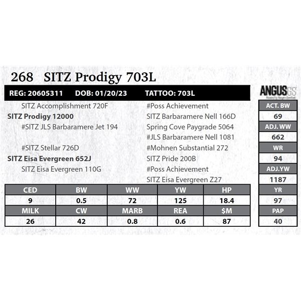 SITZ Prodigy 703L