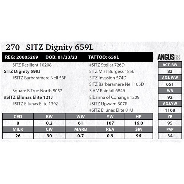 SITZ Dignity 659L