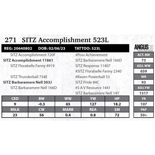 Sitz Accomplishment 523L