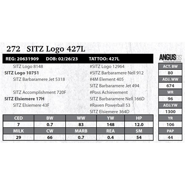 Sitz Logo 427L