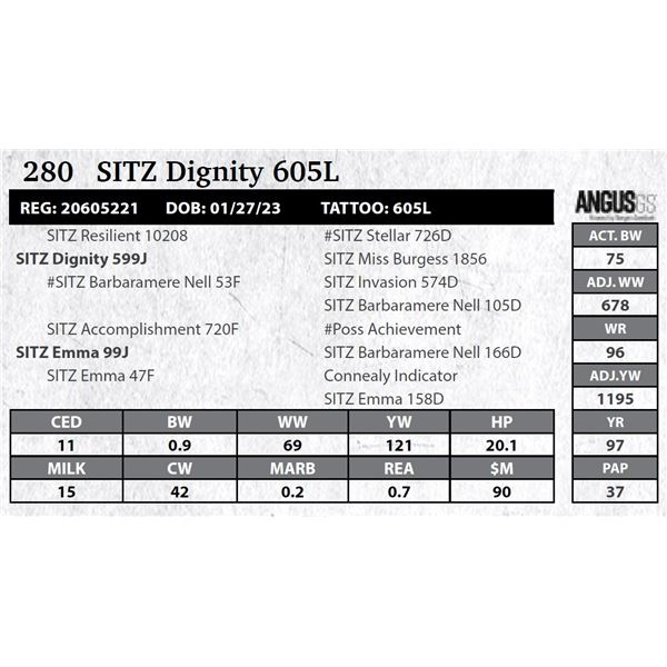 SITZ Dignity 605L