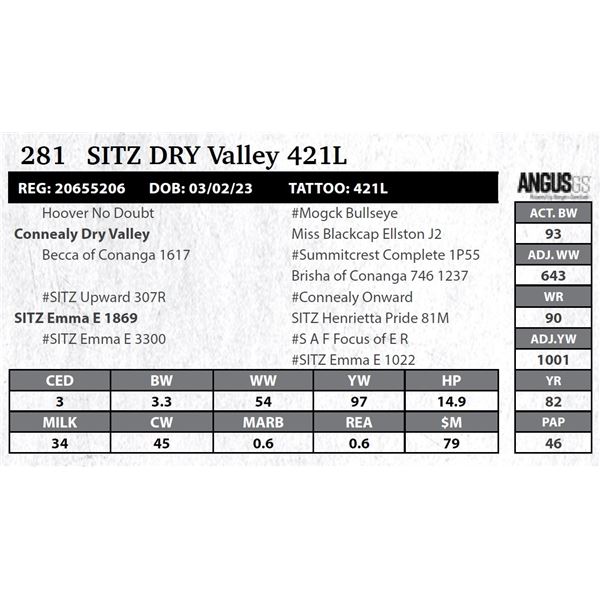 Sitz DRY Valley 421L