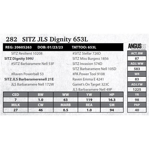 SITZ JLS Dignity 653L