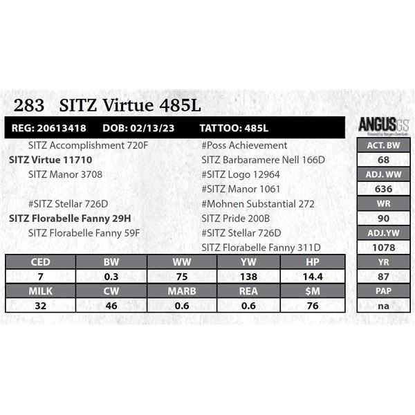 SITZ Virtue 485L