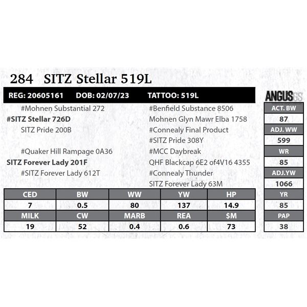 SITZ Stellar 519L