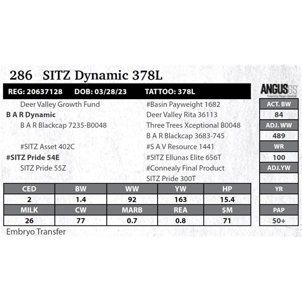 SITZ Dynamic 378L