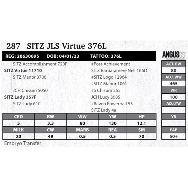 SITZ JLS Virtue 376L