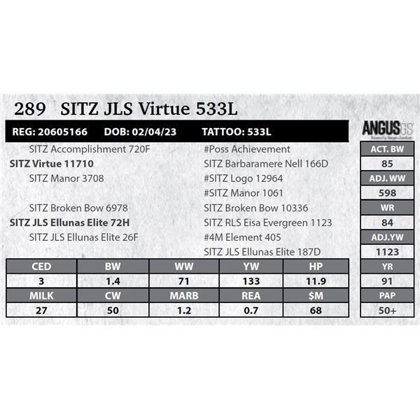 SITZ JLS Virtue 533L