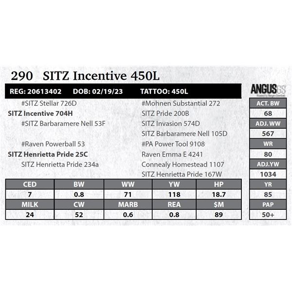 SITZ Incentive 450L