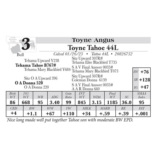 Toyne Tahoe 44L