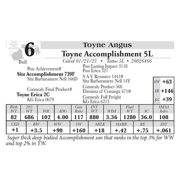 Toyne Accomplishment 5L