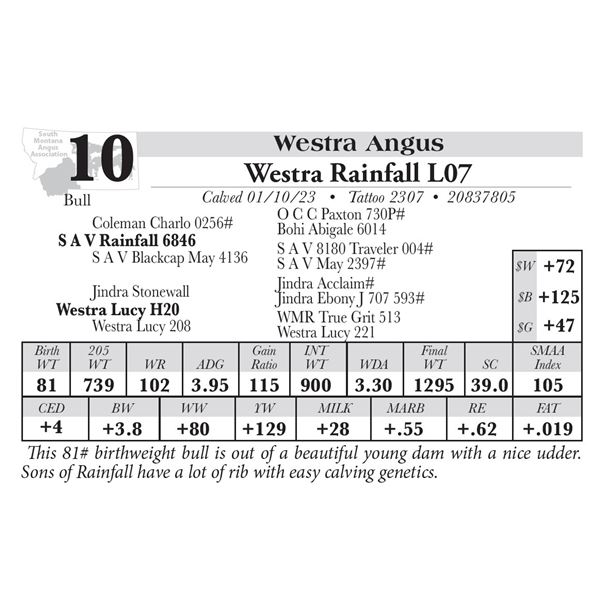 Westra Rainfall L07