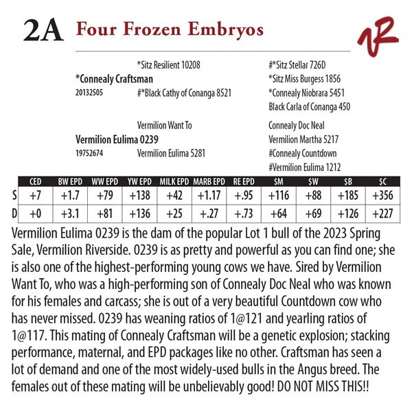 Four Frozen Embryos