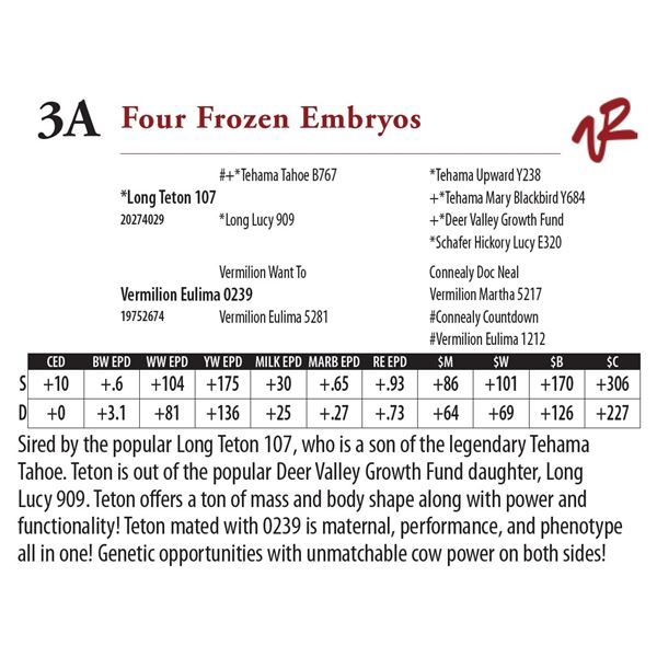 Four Frozen Embryos