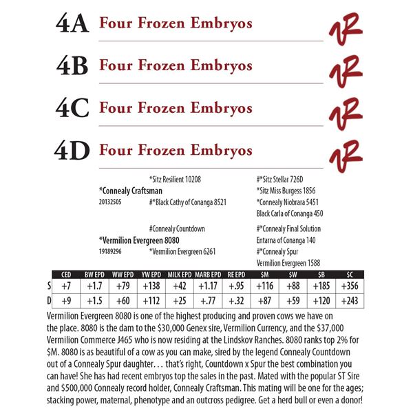 Four Frozen Embryos